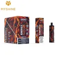 Disposable Vape 850mAh 12ml 5000 Puffs Electronic Cigarette